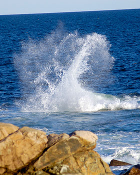 Relax in Maine at the Shining Sails Bed & Breakfast.