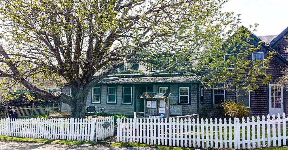 Images from Shining Sails and Monhegan Island