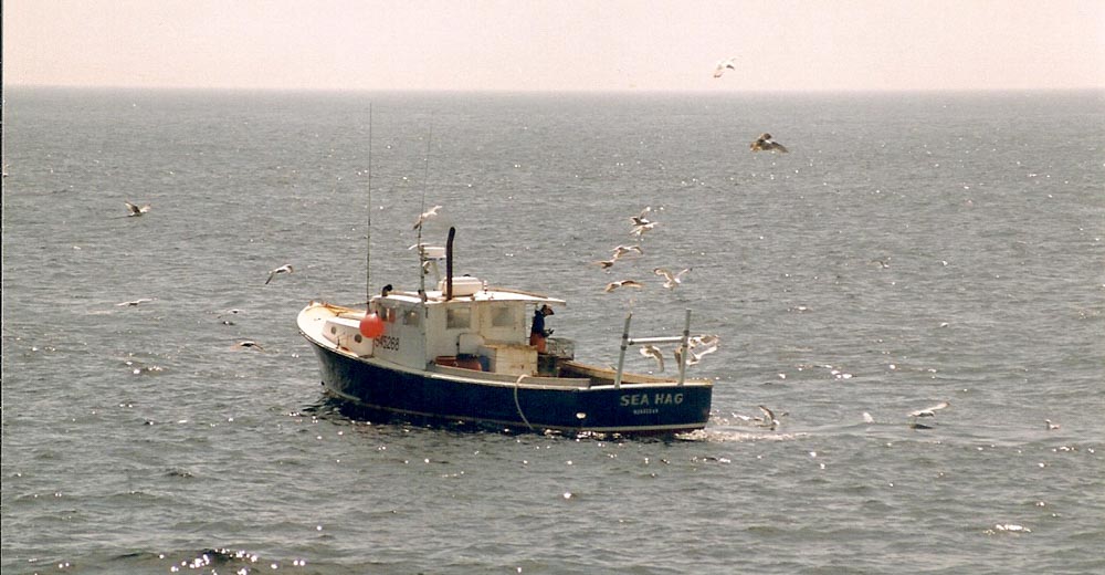 Images from Shining Sails and Monhegan Island