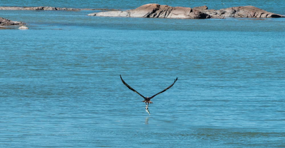 Images from Shining Sails and Monhegan Island